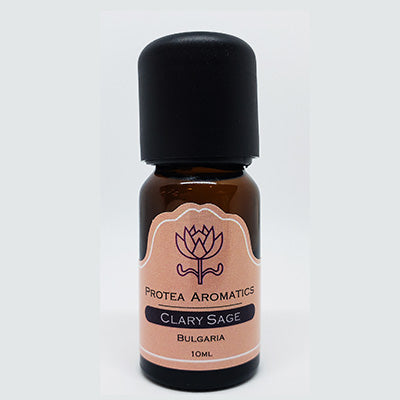 Clary Sage (Salvia sclarea)